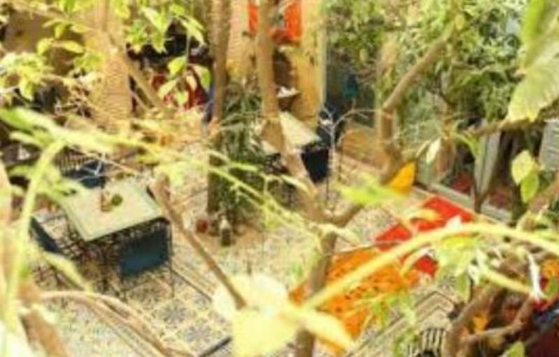Riad Les Jardins De Kesali Marrakesh Ngoại thất bức ảnh
